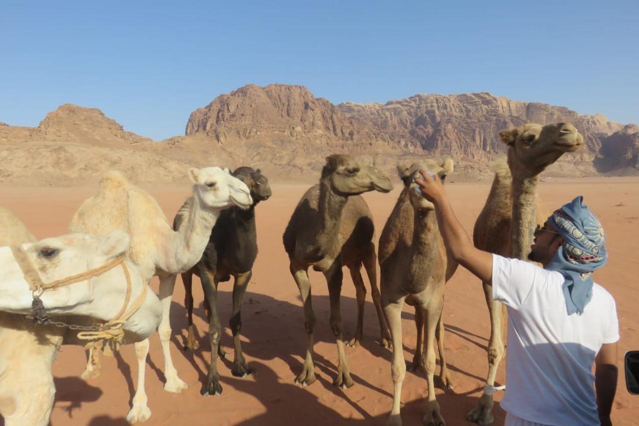 Wadirum Sunset Camp Hotel Wadi Rum Ngoại thất bức ảnh